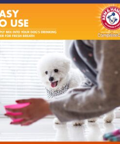 Arm & Hammer Complete Care Fresh Dental Water Additive for Dogs and Cats - Dog Water Additive, Dog Mouth Wash, Dog Dental Rinse, PetWater Additive, Cat Dental Care Bad Breath, Cat Supplies 13 81NVXEduQxL
