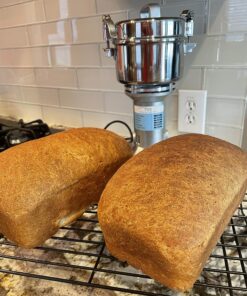 Hard Red Winter Wheat Berries | 5 LBS | Family Farmed in Washington State | Non-GMO Project Verified | 100% Non-Irradiated | Certified Kosher Parve | Field Traced | Burlap Bag 5 Pound (Pack of 1) 40 81NWZmbhbPL