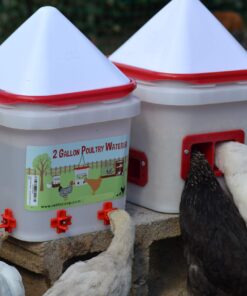 RentACoop 2 Gallon Chicken BPA-Free Plastic Bucket Waterer Set with 4 Horizontal Nipples - Corner Placement 30 81NZVT8mXNL