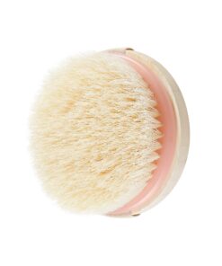 Alternative view of EcoTools Dry Body Brush, For Post Shower & Bath Skincare Routine, Removes Dirt & Promotes Blood Circulation, Helps Reduce Appearance of Cellulite, Eco-Friendly, Vegan & Cruelty-Free, 1 Count Dry Brush, Pink