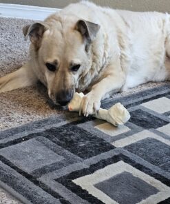 Grand Valley Pet Products 8-9" Natural Flavor Dog Rawhide Chewsomes Knotted Bones (5 Pack) - Rawhide Bones for Large Dogs - 100% USA-Sourced Rawhide - Single Ingredient - Dental Dog Chew Rawhides Natural - 5 Pieces 35 81Nby3SGKL