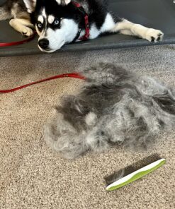 Dog Comb for Removes Tangles and Knots - Cat Comb for Removing Matted Fur - Grooming Tool with Stainless Steel Teeth and Non-Slip Grip Handle - Best Pet Hair Comb for Home Grooming Kit - Ebook Guide 41 81Nc5TVwxwL