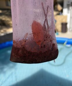 Intex Basic Pool Maintenance Kit for Above Ground Pools 40 81Ned uu bL