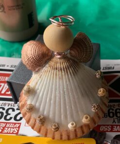Tiny Miniature Fairy Garden Beach Critter Seashells Marine Life Collection for Art & Craft Project, Outdoor & Indoor Home Decoration, Party Favor, Invitation (4.5oz Bag, 500 Shell) 40 81Nfoj8xdSL 1