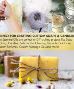 Sun Essential Oils 16oz - Camphor Essential Oil - 16 Fluid Ounces 16 Fl Oz (Pack of 1) 9 81NiltXJ93L 28