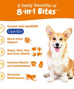 Zesty Paws Multivitamin Treats for Dogs - Glucosamine Chondroitin for Joint Support + Digestive Enzymes & Probiotics - Grain Free Dog Vitamin for Skin & Coat + Immune Health - Chicken Flavor - 90ct 90 Count (Pack of 1) 26 81Nj4z0dt3L 2