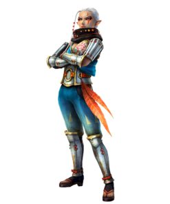 Hyrule Warriors - Nintendo Wii U Standard 24 81NpEtKohL