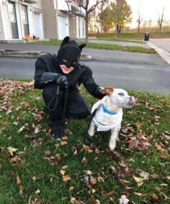 Batman Dark Knight Rises Child's Deluxe Muscle Chest Batman Costume with Mask/Headpiece and Cape - Large 20 81NuNLhxkL