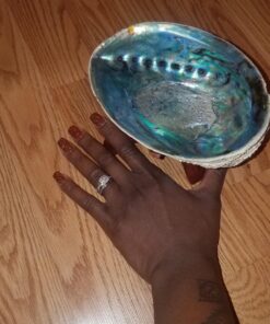 Natural Abalone (Pāua) Shell, with Stand,6-6.5 Inches,Supreme for Smudging,Cleansing Home,Meditation,Shell Crafts,Incense Holder,100% Natural, Sustainably Sourced by Ocean Shell Studios NZ 6"-6.5" 31 81Nua 4MMzL