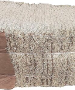 DUNCAN'S FAMILY FARM STORE Duncans Poultry 13x13 Excelsior Nest Pads Bundle of 40 40 Pack 7 81Nvo2SmmNL