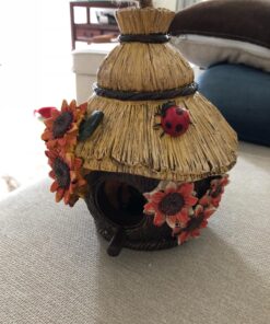 Dawhud Direct Hanging Bird Houses for Outside, Hand-Painted Bird Houses for Outdoors Decorative Birdhouses (Ladybug and Flowers) Ladybug and Flowers 15 81Nvw7ISqSL