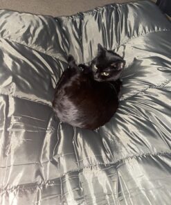 TETON Sports Mammoth Queen Size Sleeping Bag- Double Sleeping Bag – A Warm Bag The Whole Family can Enjoy – Great Sleeping Bag for Camping, Hunting and Base Camp. Compression Sack Included Grey (Cotton Flannel Liner) Mammoth 0F 48 81O19AobMXL