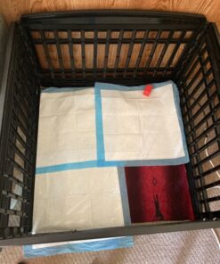 American Kennel Club Scented Puppy Training Pads with Ultra Absorbent Quick Dry Gel – 22 x 22 Puppy Pads - Fresh Scented - Pack of 50 22" x 22" - Pack of 50 28 81O3JufcNaL