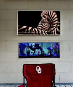 Aqueon Aquarium Algae Cleaning Magnets Glass/Acrylic, Small, Black 38 81O495DBwfL