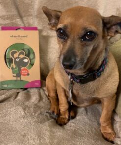 Earth Rated Dog Poop Bags with Handles, New Look, Easy Tie and Guaranteed Leakproof, Lavender Scented, 120 Handle Bags 120 Count (Pack of 1) Lavender-Scented 54 81O4Ff3PDrL