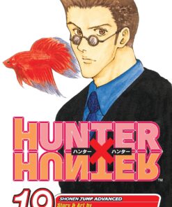 Hunter x Hunter, Vol. 19 (19) Paperback