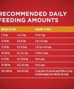 Purina ONE Chicken and Rice Formula Dry Dog Food - 8 lb. Bag Dry Food Chicken & Rice 8 Pound (Pack of 1) 36 81O81FDpcVL