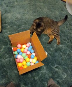 TADICK Assorted Color 50 Pack Beer Ping Pong Balls Washable Plastic Table Tennis Ball 26 81O9T5vW9tL