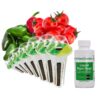 AeroGarden Salsa Garden Seed Pod Kit, 7 10 81OBzKQjW1L