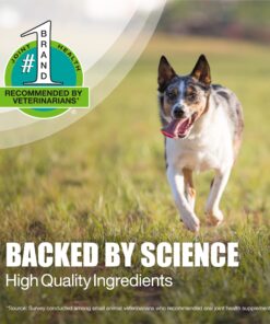 Nutramax Dasuquin with MSM Joint Health Supplement for Small to Medium Dogs - With Glucosamine, MSM, Chondroitin, ASU, Boswellia Serrata Extract, and Green Tea Extract, 150 Chewable Tablets 150 Count (Pack of 1) 25 81OCkr1dppL