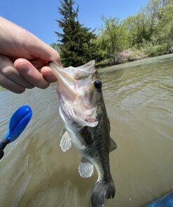 Gradient Fitness Marine Anchor, Kayak Anchor Kit Also for, Canoes, Paddle Boards (SUP), Jet Ski Anchor, Small Boat Anchor Kit 3.5 lb Folding Anchor 36 81OLALgRwyL