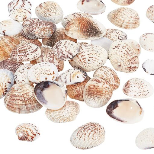 PH PandaHall 40-50Pcs 24-29mm Tiny Scallop Sea Shells Ocean Beach Clam Seashells Craft Charms for Necklace Jewelry Candle DIY Craft Making, Home Decoration, Party Wedding Decor, Fish Tank Vase Filler 30~35mm, 1.5mm Hole Mixed Colors