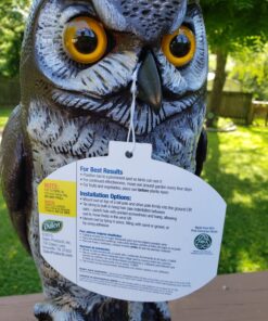 Dalen Fake Owl Decoy to Scare Birds Away from Gardens, Rooftops, and Patios - Scarecrow Provides Chemical-Free Pest Control - Safe and Humane, 16" Great Horned Owl 36 81OQdKCrh4L