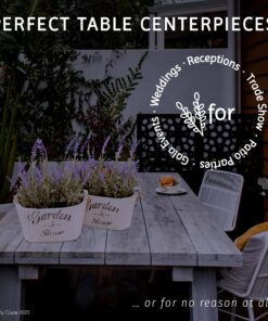 Butterfly Craze Artificial Lavender Plants in Rustic Wooden Planters - Lifelike, Stunning Faux Silk Purple Flowers Perfect for Elevating Your Patio, Home Décor, or Office (Set of Two), White Pots 24 81OQmLGfO0L