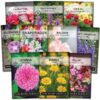 Sow Right Seeds - Flower Seed Collection - Carnation, Gayfeather, Dahlia, Morning Glory, Larkspur, Balsam, Snapdragon, Phlox, Zinnia, & Daisy - Non GMO Heirloom Seeds for Planting - 10 Packets 32 81OT9OhAsaL