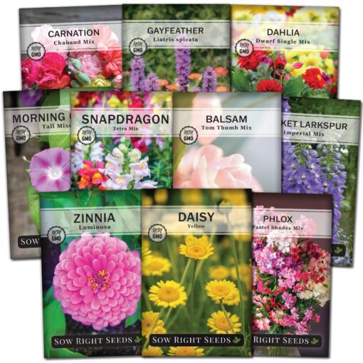 Sow Right Seeds - Flower Seed Collection - Carnation, Gayfeather, Dahlia, Morning Glory, Larkspur, Balsam, Snapdragon, Phlox, Zinnia, & Daisy - Non GMO Heirloom Seeds for Planting - 10 Packets