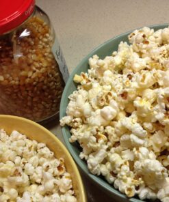 Wabash poppers with kernels (Nylon Gear, Silver) Nylon Gear 47 81OTWpdmSKL