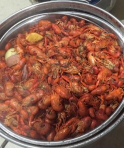 Bayou Classic SP10 High-Pressure Cooker - 14-in Single Propane Burner for Outdoor Cooking, Outdoor Stove - Crawfish Boiler, Home Brewing Burner, Maple Syrup Prep. Fits Large Boiling Pots and Fryers - Seafood Boil Pot. 30 81OZ6tPfxvL