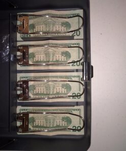 MMF Industries STEELMASTER Tiered Tray Cash Box | 11.81” W x 3.18” H x 9.43” D | 10 Compartments | Tiered Tray Design | Recessed Handle | Secure Cam Lock | Steel Construction 11.8"L x 9.5"W x 3.2"H 24 81Oa8mBqIZL