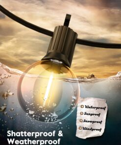 Brightown G40 Replacement LED Light Bulbs, 25 Pack Clear Globe Bulb fits E12 C7 Candelabra Screw Base Sockets, 1.5 Inch Dimmable Edison Light Bulbs for Indoor Outdoor Patio Decor, Warm White Clear-led 20 81OdUtgiHSL