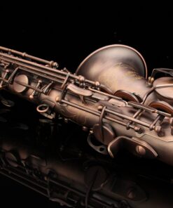 GLORY High Grade Antique Finish Series PR1, E Flat Alto Saxophone with 11reeds,8 Pads Cushions,case,carekit 13 81OhfXxAcvL