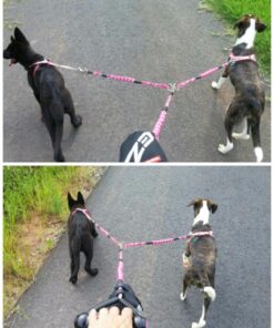 EzyDog Cujo Shock Absorbing Bungee Dog Leash - Best Dog Rope Training Lead - Reflective Trim for Nighttime Safety - Padded Pull Handle for Superior Comfort and Control (40", Black) 40-Inch 21 81Ohnf87P9L