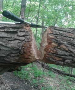 Coleman Camp Axe 17 81OiDiBpRL