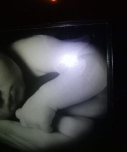 Fellowes Thermal Laminating Pouches, 3mil Letter Size Sheets, 9 x 11.5, 200 Pack, Clear (5743401) 3mil - 200 Pack 30 81OlE0A0yL