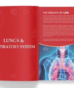 Knowledge Encyclopedia: Human Body (Knowledge Encyclopedia For Children) Hardcover 12 81Om MHD jL