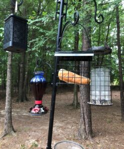 FORUP Suet Bird Feeder, Hanging Suet Feeder, Single Suet Cake Bird Feeder, One Suet Capacity 1 27 81OmGBaQsL