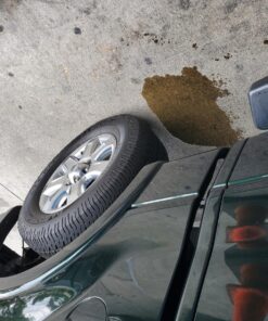 Lucas Oil 10003 Fuel Treatment - 1 Quart 22 81OouK7E0vL