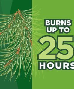 Coleman Pine Scented Citronella Candle with Wooden Crackle Wick - 6 oz Tin Pine Scent 21 81Otw9xYYzL