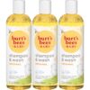 Burt's Bees Baby Shampoo and Wash, Original, Tear Free, Pediatrician Tested, 98.7% Natural Origin, Pack of 3 12 Ounce (Pack of 3) 16 81OyTZC5HHL