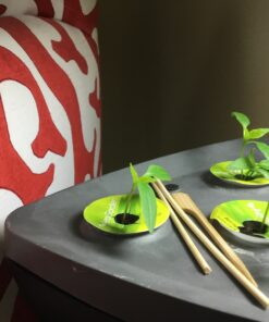 AeroGarden Sweet Bell Peppers Seed Pod Kit (9-pod) Tall Gardens Only Sweet Bell Pepper 40 81OzEAApNML