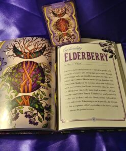 The Illustrated Herbiary: Guidance and Rituals from 36 Bewitching Botanicals (Wild Wisdom) Hardcover, Illustrated 57 81P 3F9iOML 1