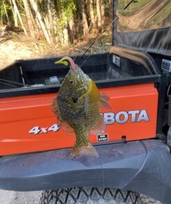 Ugly Stik Dock Runner Spinning Reel and Fishing Rod Combo 3' - Medium - 1pc New Model 20 81P iwVqniL