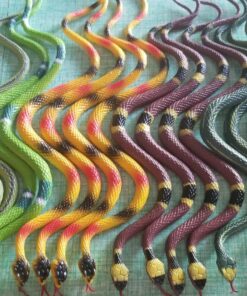 Rhode Island Novelty 14 Inch Rain Forest Snakes, Two Dozen Assorted 14 81P p4ogsnL