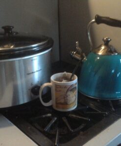 Mr. Coffee Alderton Tea Kettle, 2.3 Quarts, Green 20 81P3aaTzlL