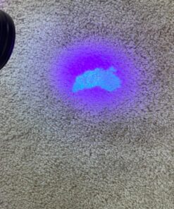 UV Flashlight Black Light, LOFTEK 51 LED 395 nm Blacklight Flashlite Pet Urine Detector for Dog Urine, Dry Stains, Bed Bug, Scorpion, Matching with Pet Odor Eliminator 41 81P6K1hYBoL
