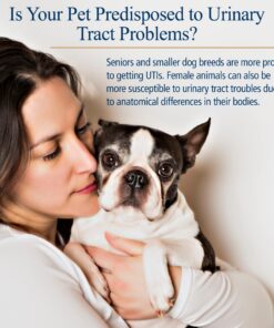 Rx Vitamins Cranberry Pills for Dogs - Cat Urinary Tract Medicine Support - UTI Treatment for Pets - Dog & Cat Urinary Relief Aid - 90 Cap. 9 81P7b0InjxL